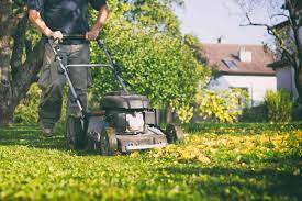 Can I Use Lawn Mower to Mulch Leaves Picture